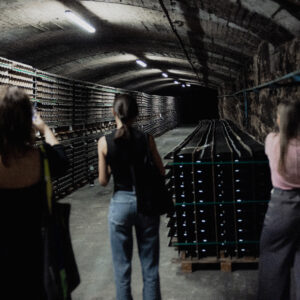 Pezsgőkultúra | Pinceséta Sólyom Bencével (1/3)