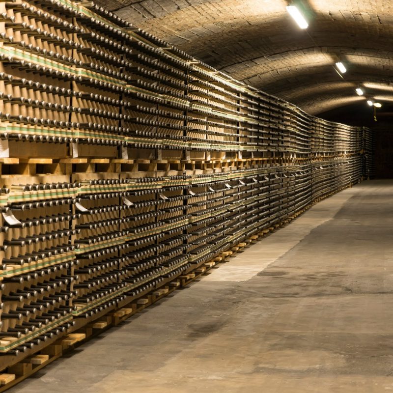 487167446_1279446837025719_6501962567269383591_n